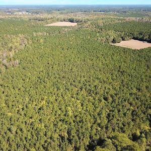 Photo #22 of Off Cypress Chapel Rd, Whaleyville, VA 45.5 acres