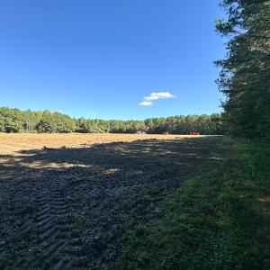 Photo #23 of Off Cypress Chapel Rd, Whaleyville, VA 45.5 acres