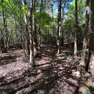 Photo #25 of Off Cypress Chapel Rd, Whaleyville, VA 45.5 acres