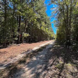 Photo #27 of Off Cypress Chapel Rd, Whaleyville, VA 45.5 acres
