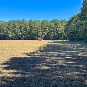 Photo #29 of Off Cypress Chapel Rd, Whaleyville, VA 45.5 acres