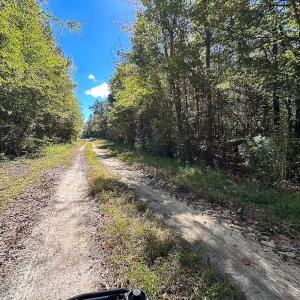 Photo #32 of Off Cypress Chapel Rd, Whaleyville, VA 45.5 acres
