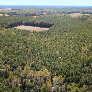 Photo #36 of Off Cypress Chapel Rd, Whaleyville, VA 45.5 acres