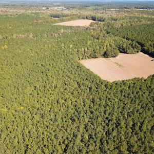 Photo #41 of Off Cypress Chapel Rd, Whaleyville, VA 45.5 acres