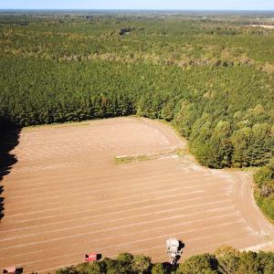 Photo #44 of Off Cypress Chapel Rd, Whaleyville, VA 45.5 acres