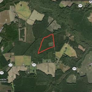 Photo #47 of Off Cypress Chapel Rd, Whaleyville, VA 45.5 acres
