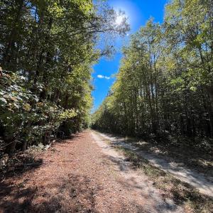 Photo #2 of Off Cypress Chapel Rd, Whaleyville, VA 14.9 acres
