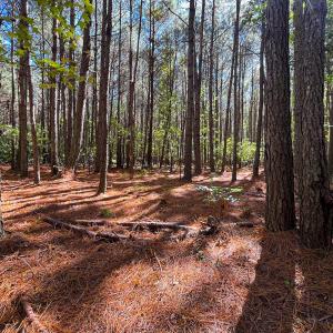 Photo #3 of Off Cypress Chapel Rd, Whaleyville, VA 14.9 acres