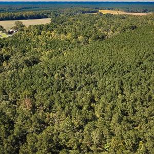 Photo #5 of Off Cypress Chapel Rd, Whaleyville, VA 14.9 acres