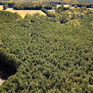 Photo #11 of Off Cypress Chapel Rd, Whaleyville, VA 14.9 acres