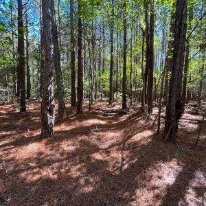 Photo #19 of Off Cypress Chapel Rd, Whaleyville, VA 14.9 acres