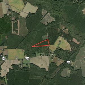 Photo #33 of Off Cypress Chapel Rd, Whaleyville, VA 14.9 acres