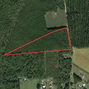 Photo #34 of Off Cypress Chapel Rd, Whaleyville, VA 14.9 acres