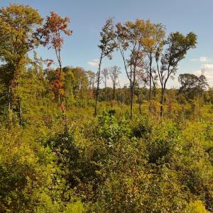 Photo #12 of Off Mack Rd, Asheboro, NC 6.7 acres