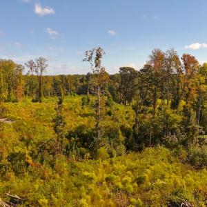 Photo #16 of Off Mack Rd, Asheboro, NC 6.7 acres