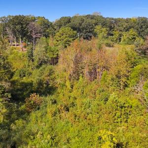 Photo #19 of Off Mack Rd, Asheboro, NC 6.7 acres