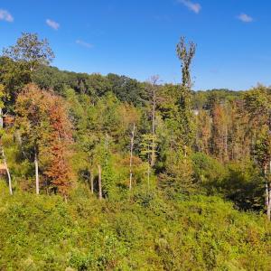 Photo #20 of Off Mack Rd, Asheboro, NC 6.7 acres
