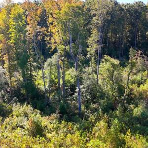 Photo #4 of Off Mack Rd, Asheboro, NC 6.7 acres