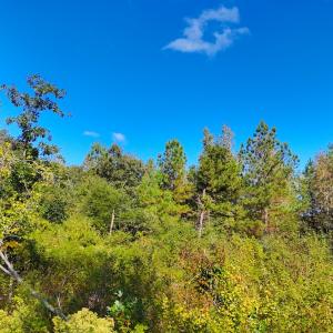 Photo #5 of Off Mack Rd, Asheboro, NC 6.7 acres