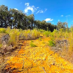 Photo #7 of Off Mack Rd, Asheboro, NC 6.7 acres