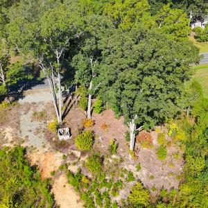 Photo #8 of Off Mack Rd, Asheboro, NC 6.7 acres