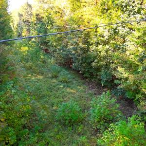 Photo #13 of Off Meriwether Ln, Haw River, NC 1.0 acres