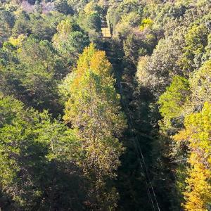 Photo #14 of Off Meriwether Ln, Haw River, NC 1.0 acres