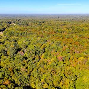 Photo #16 of Off Meriwether Ln, Haw River, NC 1.0 acres