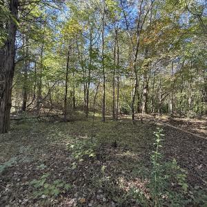 Photo #19 of Off Meriwether Ln, Haw River, NC 1.0 acres