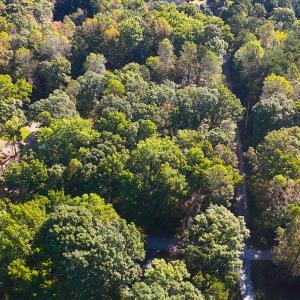 Photo #2 of Off Meriwether Ln, Haw River, NC 1.0 acres