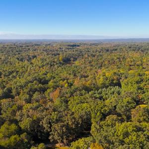 Photo #21 of Off Meriwether Ln, Haw River, NC 1.0 acres
