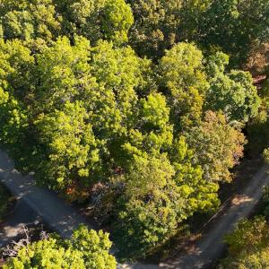 Photo #22 of Off Meriwether Ln, Haw River, NC 1.0 acres