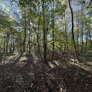 Photo #23 of Off Meriwether Ln, Haw River, NC 1.0 acres
