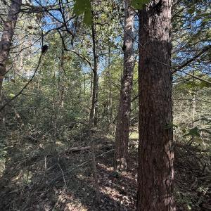 Photo #24 of Off Meriwether Ln, Haw River, NC 1.0 acres