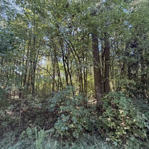 Photo #28 of Off Meriwether Ln, Haw River, NC 1.0 acres