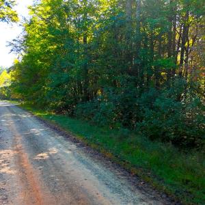 Photo #3 of Off Meriwether Ln, Haw River, NC 1.0 acres