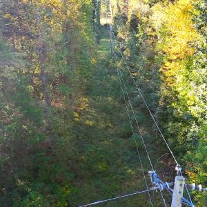 Photo #4 of Off Meriwether Ln, Haw River, NC 1.0 acres