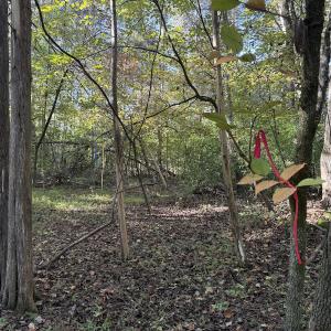 Photo #6 of Off Meriwether Ln, Haw River, NC 1.0 acres