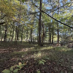 Photo #9 of Off Meriwether Ln, Haw River, NC 1.0 acres