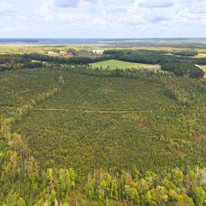 Photo #10 of Off Hwy 11 , Kenansville, NC 269.6 acres