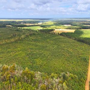 Photo #11 of Off Hwy 11 , Kenansville, NC 269.6 acres