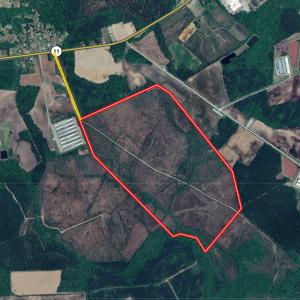 Photo #51 of Off Hwy 11 , Kenansville, NC 269.6 acres