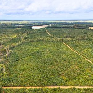 Photo #14 of Off Hwy 11 , Kenansville, NC 269.6 acres