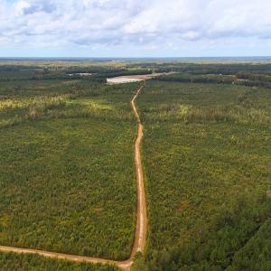 Photo #15 of Off Hwy 11 , Kenansville, NC 269.6 acres