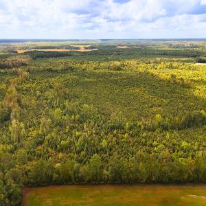 Photo #19 of Off Hwy 11 , Kenansville, NC 269.6 acres