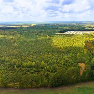 Photo #20 of Off Hwy 11 , Kenansville, NC 269.6 acres