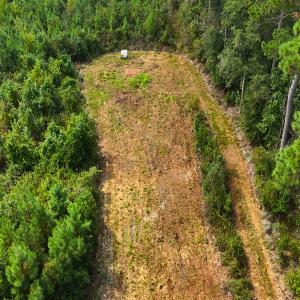 Photo #22 of Off Hwy 11 , Kenansville, NC 269.6 acres