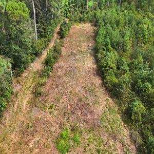 Photo #23 of Off Hwy 11 , Kenansville, NC 269.6 acres