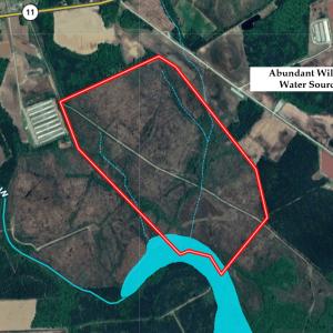 Photo #24 of Off Hwy 11 , Kenansville, NC 269.6 acres