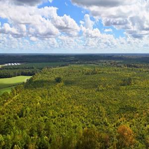 Photo #26 of Off Hwy 11 , Kenansville, NC 269.6 acres